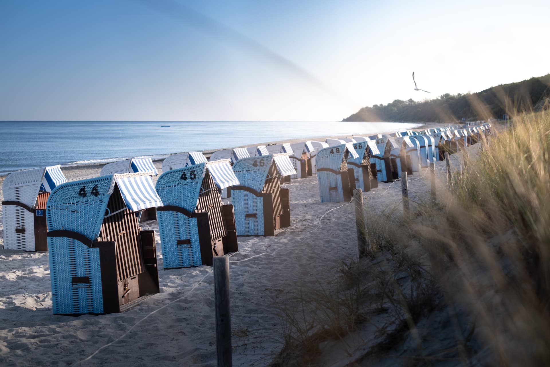 Strandkörbe am Ostseestrand in Rerik